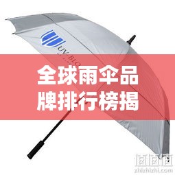 全球雨傘品牌排行榜揭曉，TOP品牌大比拼！