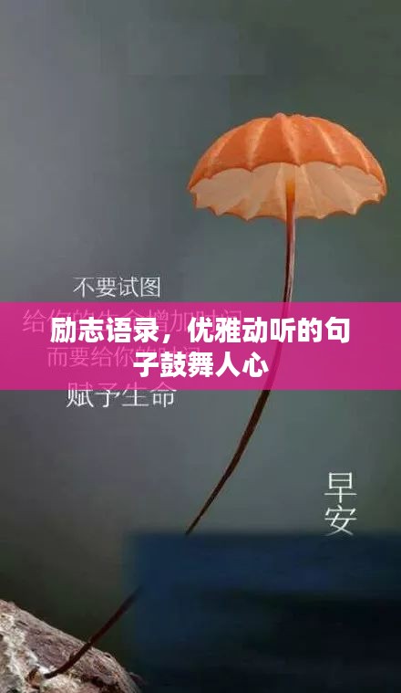 勵(lì)志語錄，優(yōu)雅動(dòng)聽的句子鼓舞人心