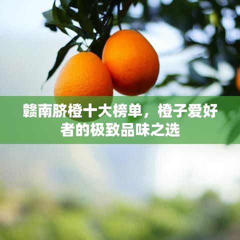 贛南臍橙十大榜單，橙子愛好者的極致品味之選
