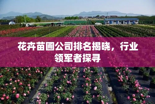 花卉苗圃公司排名揭曉，行業(yè)領(lǐng)軍者探尋