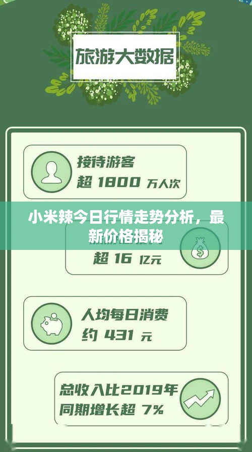 小米辣今日行情走勢分析，最新價格揭秘