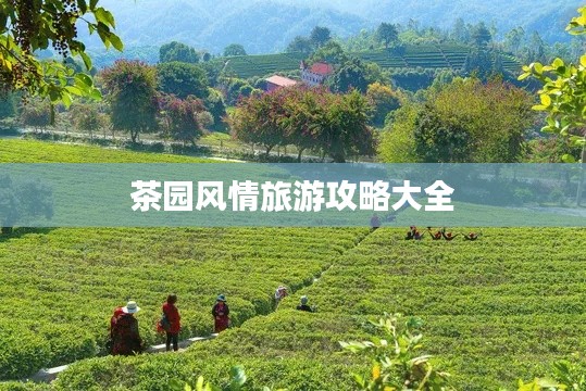 學(xué)貫中西 第3頁(yè)