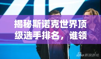 笨鳥(niǎo)先飛 第3頁(yè)