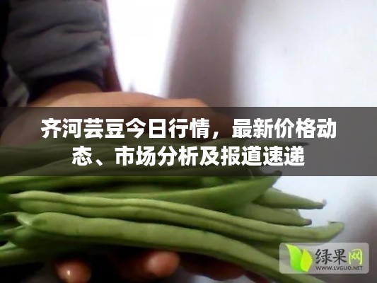 齊河蕓豆今日行情，最新價格動態(tài)、市場分析及報道速遞