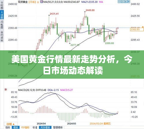 美國黃金行情最新走勢分析，今日市場動態(tài)解讀