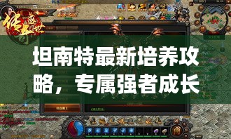 坦南特最新培養(yǎng)攻略，專屬?gòu)?qiáng)者成長(zhǎng)之路揭秘