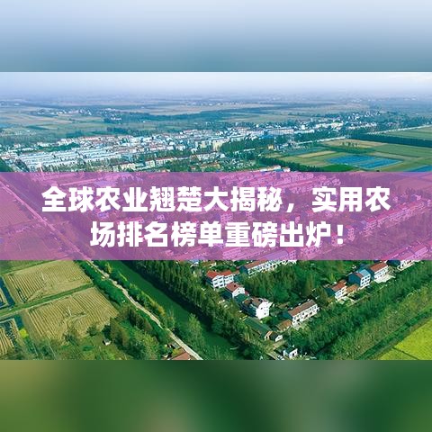 全球農(nóng)業(yè)翹楚大揭秘，實(shí)用農(nóng)場排名榜單重磅出爐！