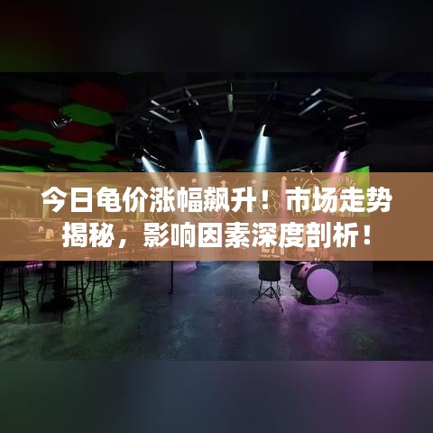今日龜價漲幅飆升！市場走勢揭秘，影響因素深度剖析！