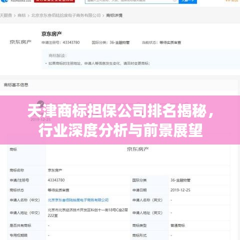 天津商標(biāo)擔(dān)保公司排名揭秘，行業(yè)深度分析與前景展望