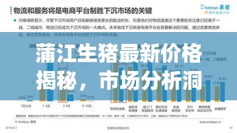 蒲江生豬最新價(jià)格揭秘，市場(chǎng)分析洞察與趨勢(shì)預(yù)測(cè)