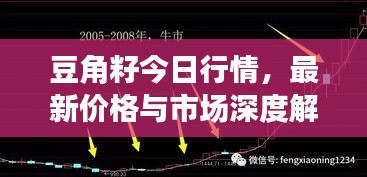 豆角籽今日行情，最新價(jià)格與市場深度解析