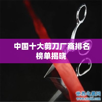中國(guó)十大剪刀廠商排名榜單揭曉