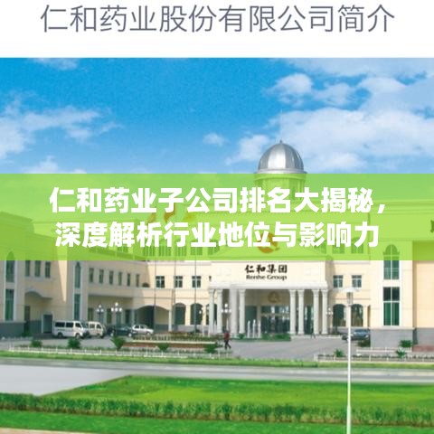 仁和藥業(yè)子公司排名大揭秘，深度解析行業(yè)地位與影響力