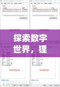 探索數字世界，貍窩下載器助你輕松百度暢游