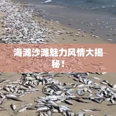 海灘沙灘魅力風(fēng)情大揭秘！
