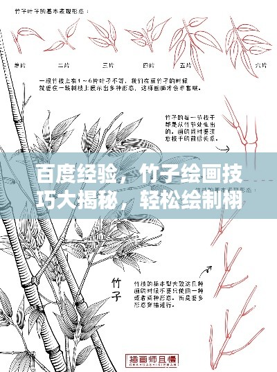 百度經(jīng)驗(yàn)，竹子繪畫技巧大揭秘，輕松繪制栩栩如生竹葉圖