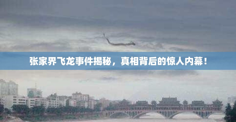 張家界飛龍事件揭秘，真相背后的驚人內(nèi)幕！