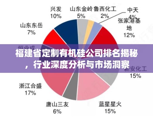 福建省定制有機硅公司排名揭秘，行業(yè)深度分析與市場洞察