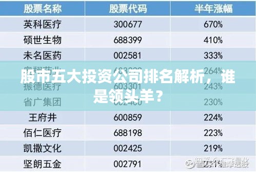 股市五大投資公司排名解析，誰(shuí)是領(lǐng)頭羊？
