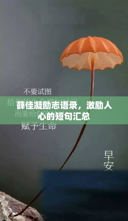 薛佳凝勵(lì)志語錄，激勵(lì)人心的短句匯總