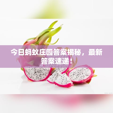 今日螞蟻莊園答案揭秘，最新答案速遞！