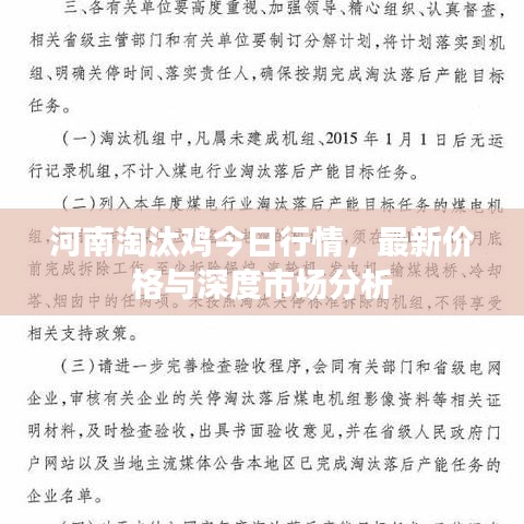 河南淘汰雞今日行情，最新價(jià)格與深度市場(chǎng)分析