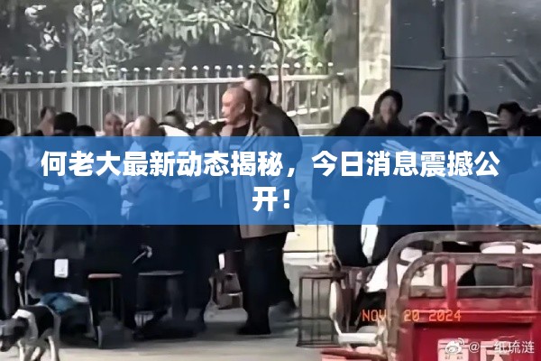 何老大最新動(dòng)態(tài)揭秘，今日消息震撼公開！