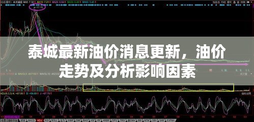 泰城最新油價(jià)消息更新，油價(jià)走勢(shì)及分析影響因素