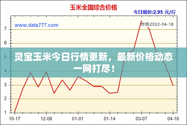 靈寶玉米今日行情更新，最新價格動態(tài)一網(wǎng)打盡！