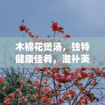 木棉花煲湯，獨特健康佳肴，滋補美味之選