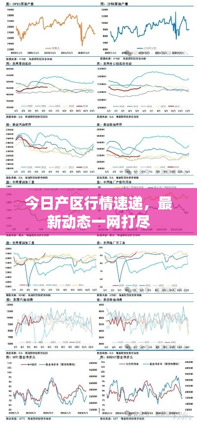 今日產(chǎn)區(qū)行情速遞，最新動態(tài)一網(wǎng)打盡