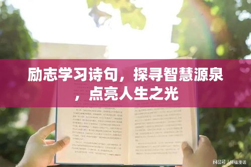勵志學習詩句，探尋智慧源泉，點亮人生之光