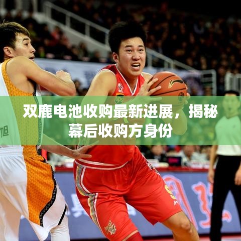 雙鹿電池收購最新進展，揭秘幕后收購方身份