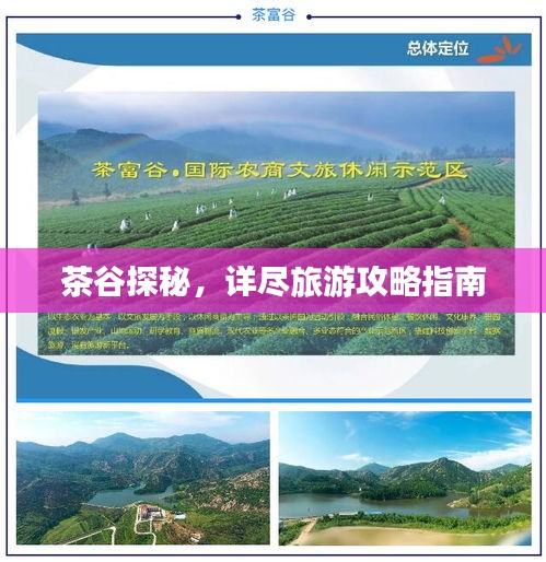 茶谷探秘，詳盡旅游攻略指南