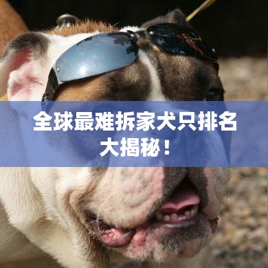 張皇鋪飾 第3頁