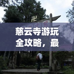慈云寺游玩全攻略，最新路線一網(wǎng)打盡！