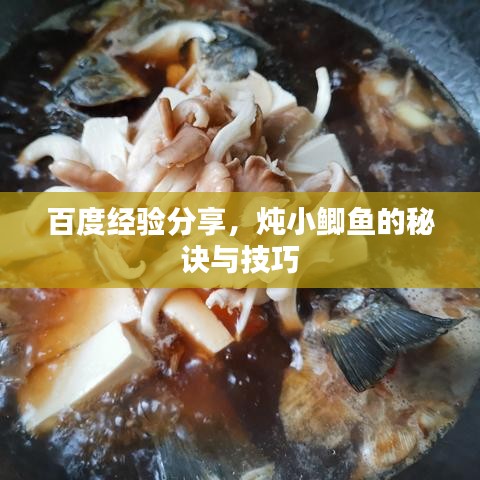 百度經(jīng)驗分享，燉小鯽魚的秘訣與技巧