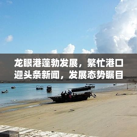 龍眼港蓬勃發(fā)展，繁忙港口迎頭條新聞，發(fā)展態(tài)勢矚目