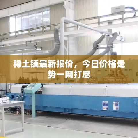 稀土鎂最新報價，今日價格走勢一網(wǎng)打盡