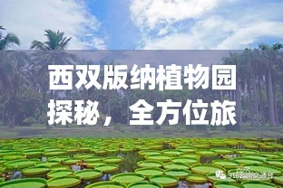 西雙版納植物園探秘，全方位旅游攻略