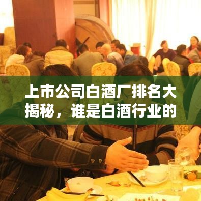 上市公司白酒廠排名大揭秘，誰是白酒行業(yè)的領(lǐng)頭羊？