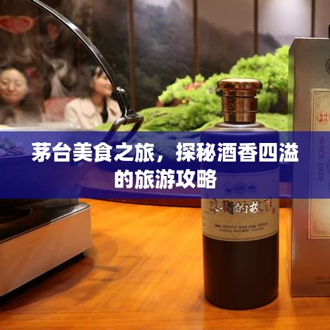 茅臺美食之旅，探秘酒香四溢的旅游攻略