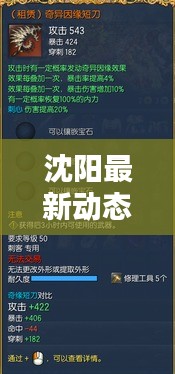 沈陽最新動(dòng)態(tài)更新速遞