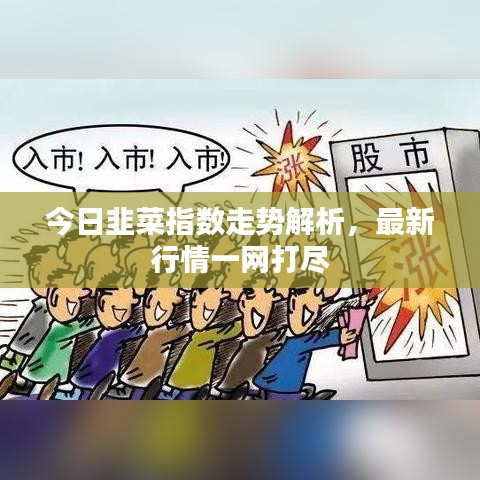 今日韭菜指數(shù)走勢(shì)解析，最新行情一網(wǎng)打盡