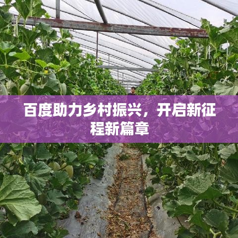 百度助力鄉(xiāng)村振興，開啟新征程新篇章