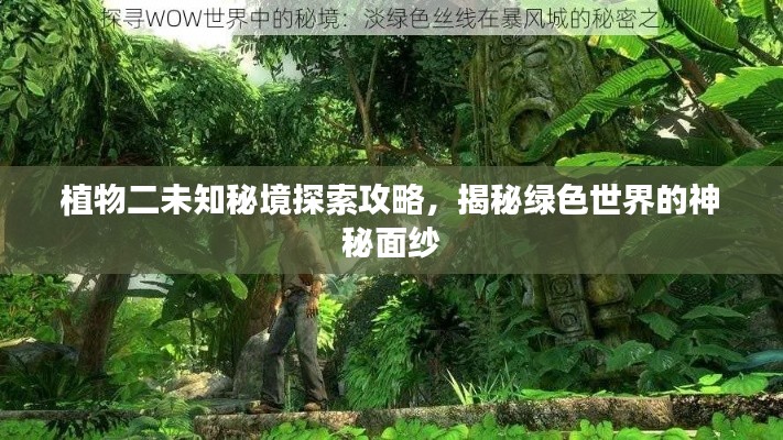 植物二未知秘境探索攻略，揭秘綠色世界的神秘面紗