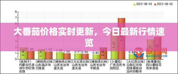 光明磊落 第2頁