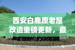 西安白鹿原老屋改造重磅更新，最新動態(tài)揭秘
