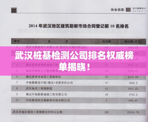 武漢樁基檢測公司排名權威榜單揭曉！