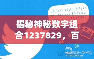 揭秘神秘數(shù)字組合1237829，百度背后的故事探秘